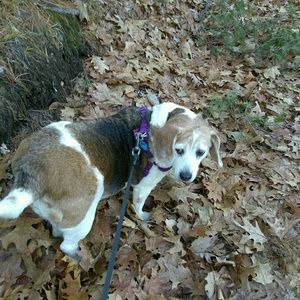 Meet your Posher, Yolanda